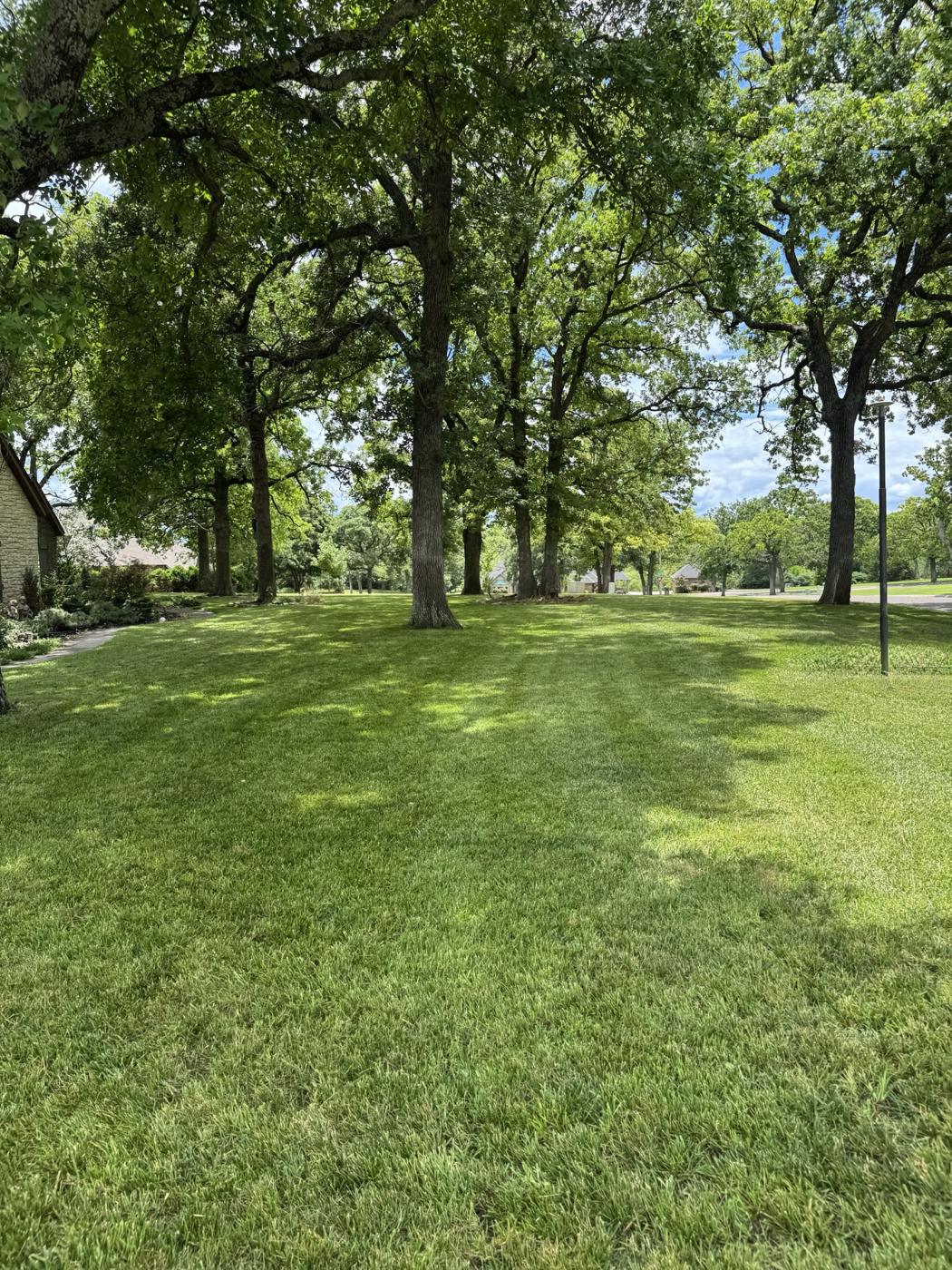 Lush green lawn under mature shade trees in Norman, Oklahoma