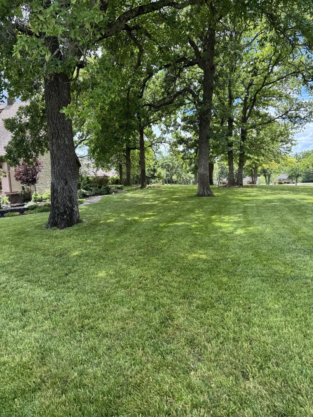 Park-like green lawn with mature trees in Norman, OK