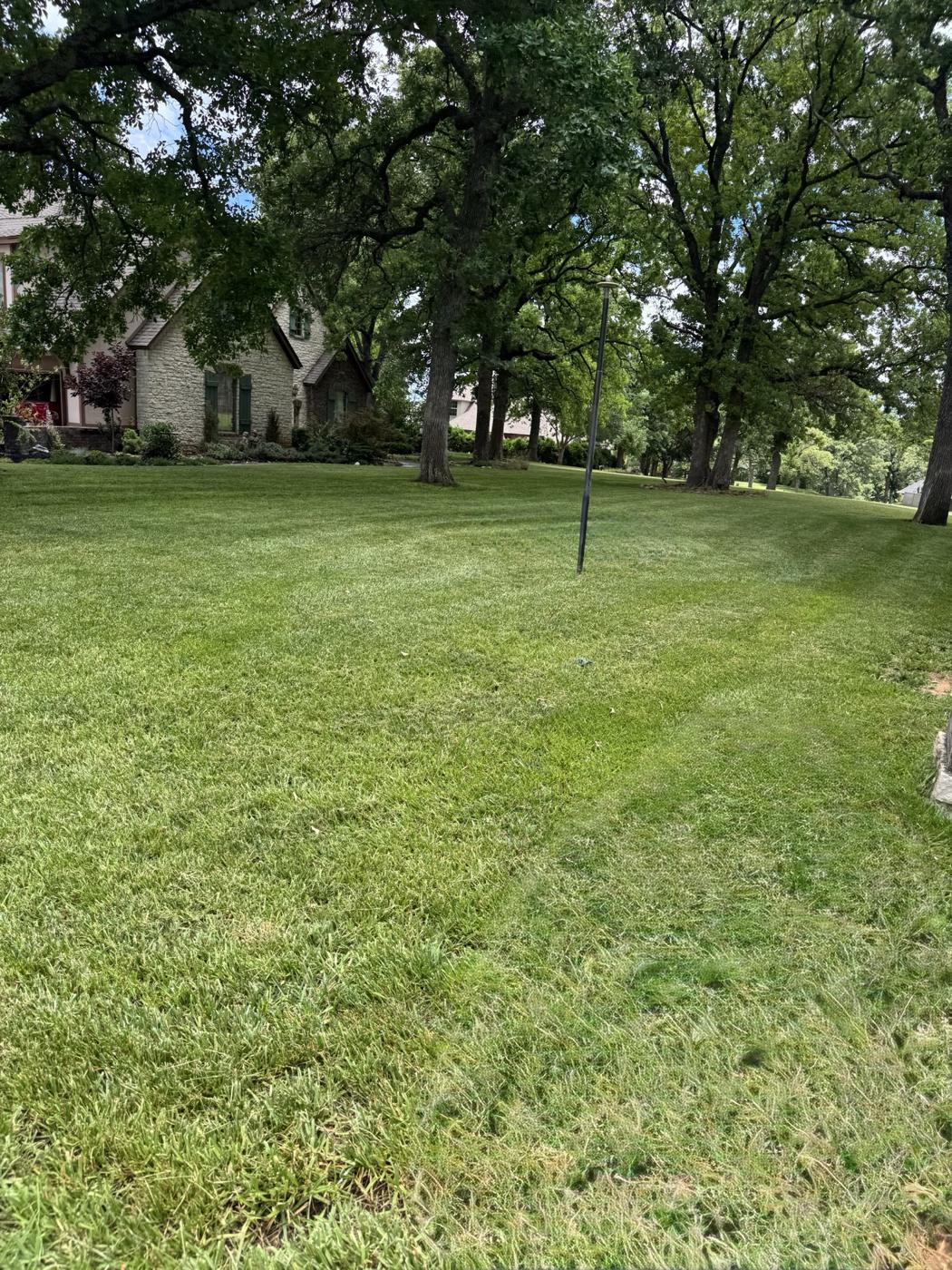 Well-kept front lawn with great curb appeal in Norman, OK