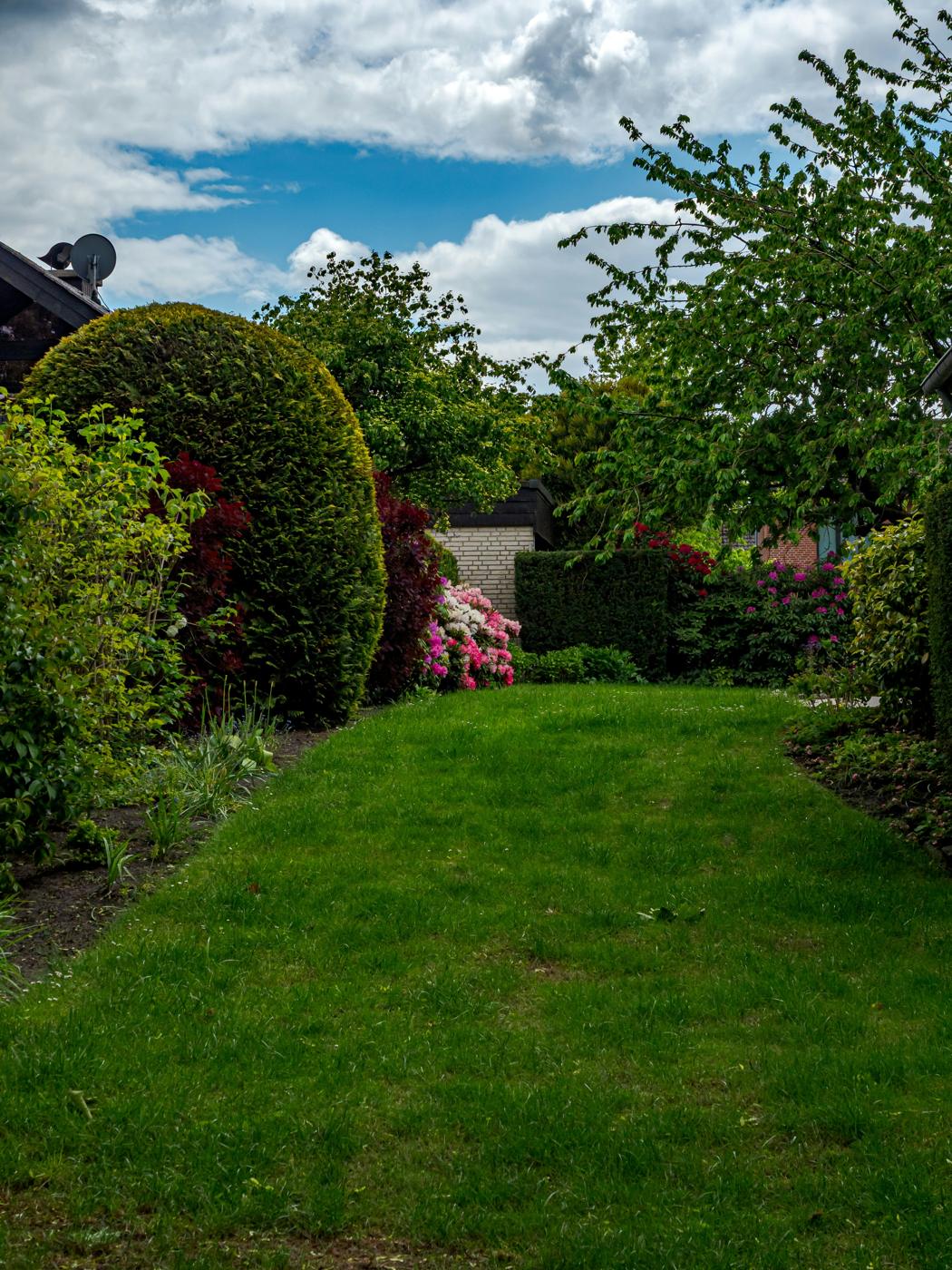 Colorful landscaped garden with a lush green lawn in Norman, OK