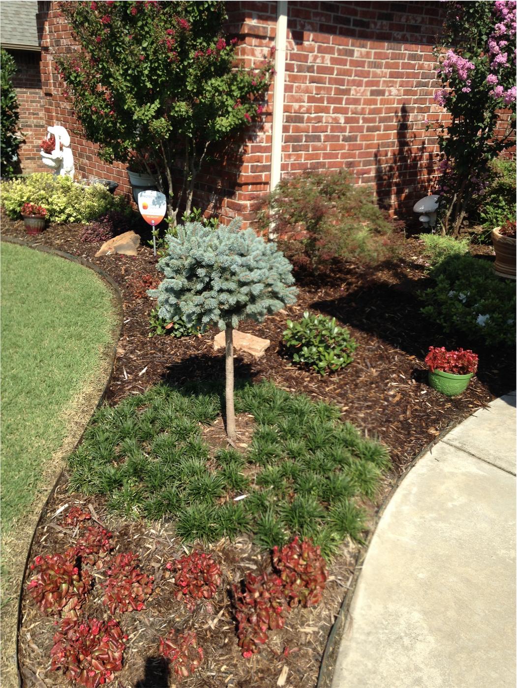 Fresh landscaping bed and mulch work in Norman, OK